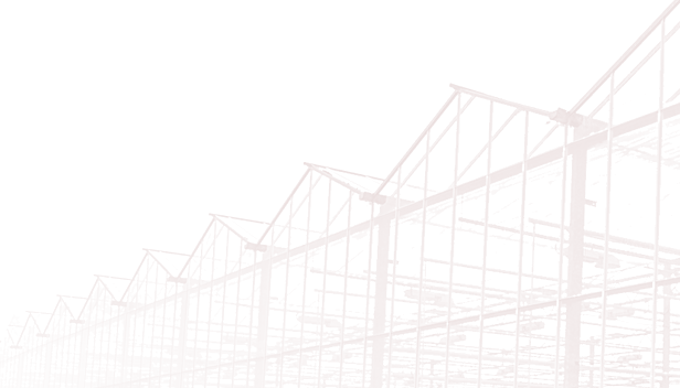 云顶集团·(中国区)最新官方网站