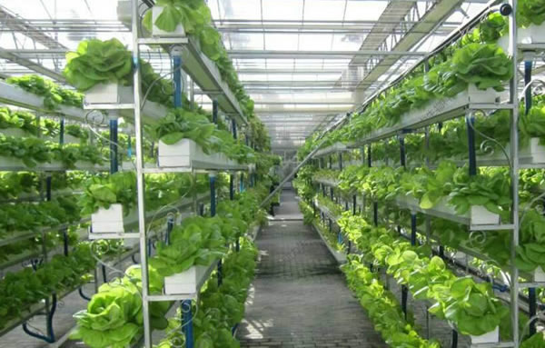 云顶集团·(中国区)最新官方网站