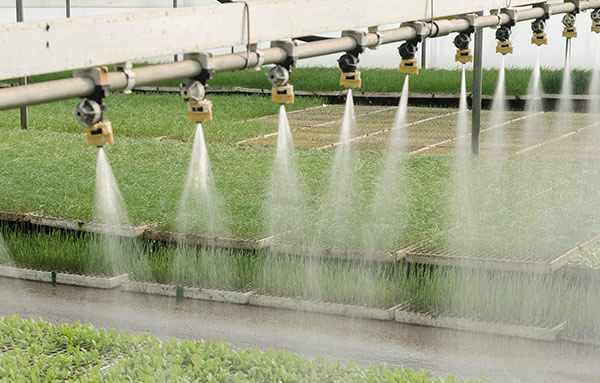 云顶集团·(中国区)最新官方网站