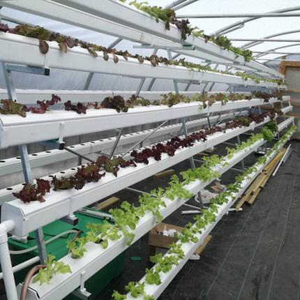 云顶集团·(中国区)最新官方网站