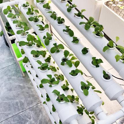 云顶集团·(中国区)最新官方网站