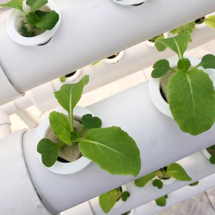 云顶集团·(中国区)最新官方网站